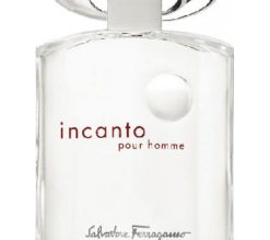 Incanto Pour Homme Salvatore Ferragamo for men