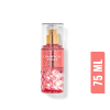 Champagne Toast Travel Mist