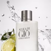 Giorgio Armani Acqua Di Gio EDT 100ml